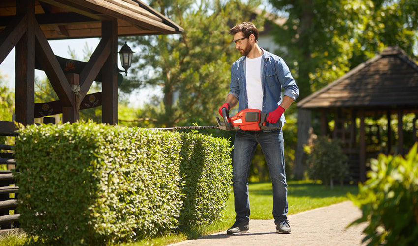 Landscaper trimming a hedge with a hedge cutter in a garden